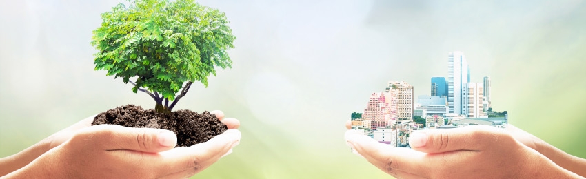 Osiem prostych sposobów, z których korzystamy na co dzień, aby pomagać środowisku